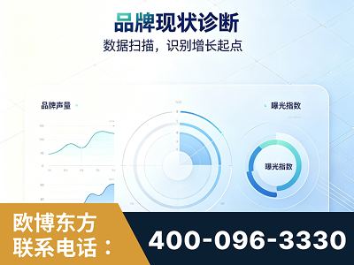 忻州-品牌现状诊断