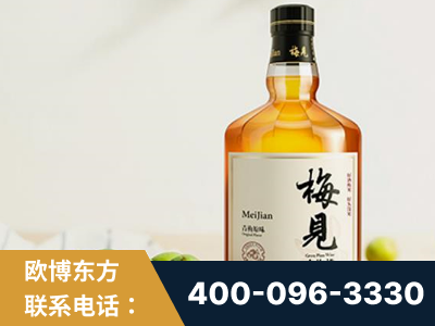 忻州-梅见青梅酒